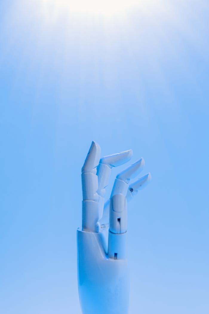 services-03